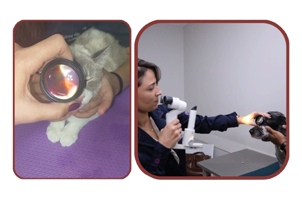 Fundoscopia